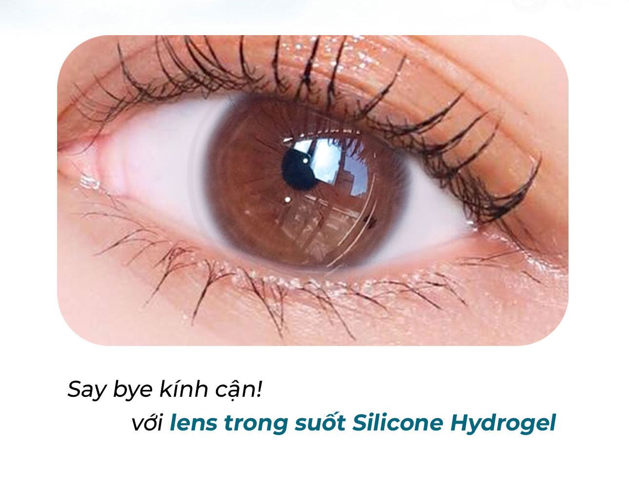 Mô tả Lens trong suốt có độ cận dòng cao cấp chất liệu Silicone Hydrogel - hiệu Angel Eyes độ cận 1 - 15 độ - 3