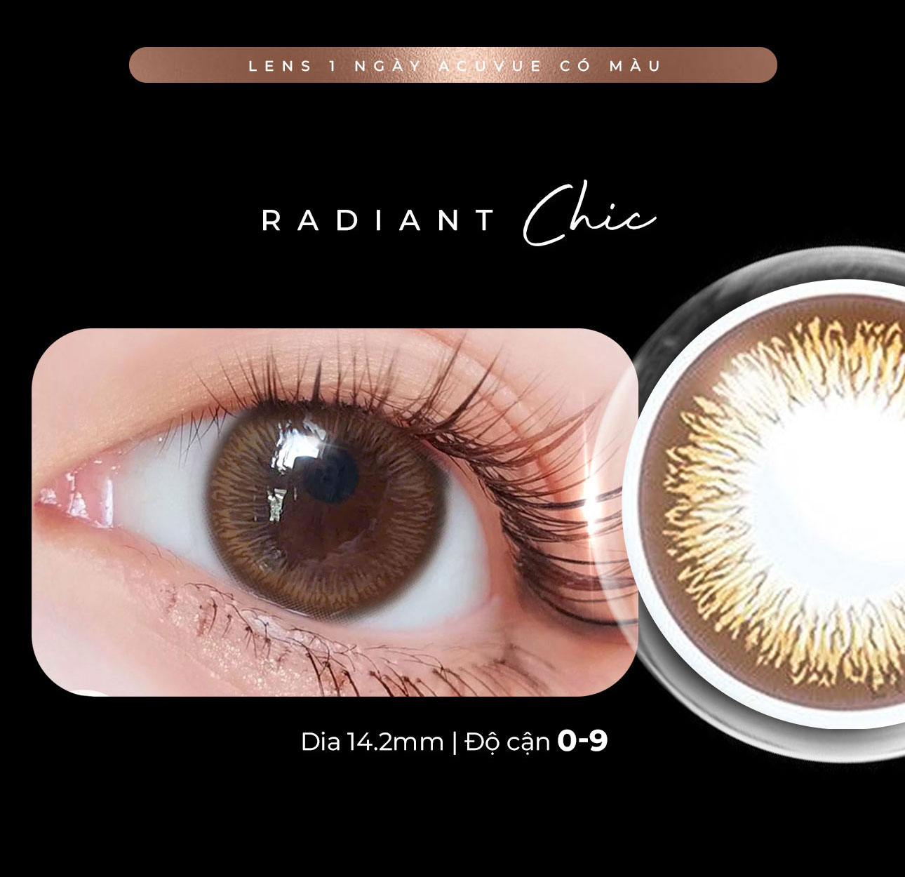 Mô tả Lens áp tròng trong suốt 1 ngày Angel Eyes Acuvue của Mỹ độ cận 1-10 (Lens dùng 1 lần cận | Kính áp tròng hàng ngày) - 2