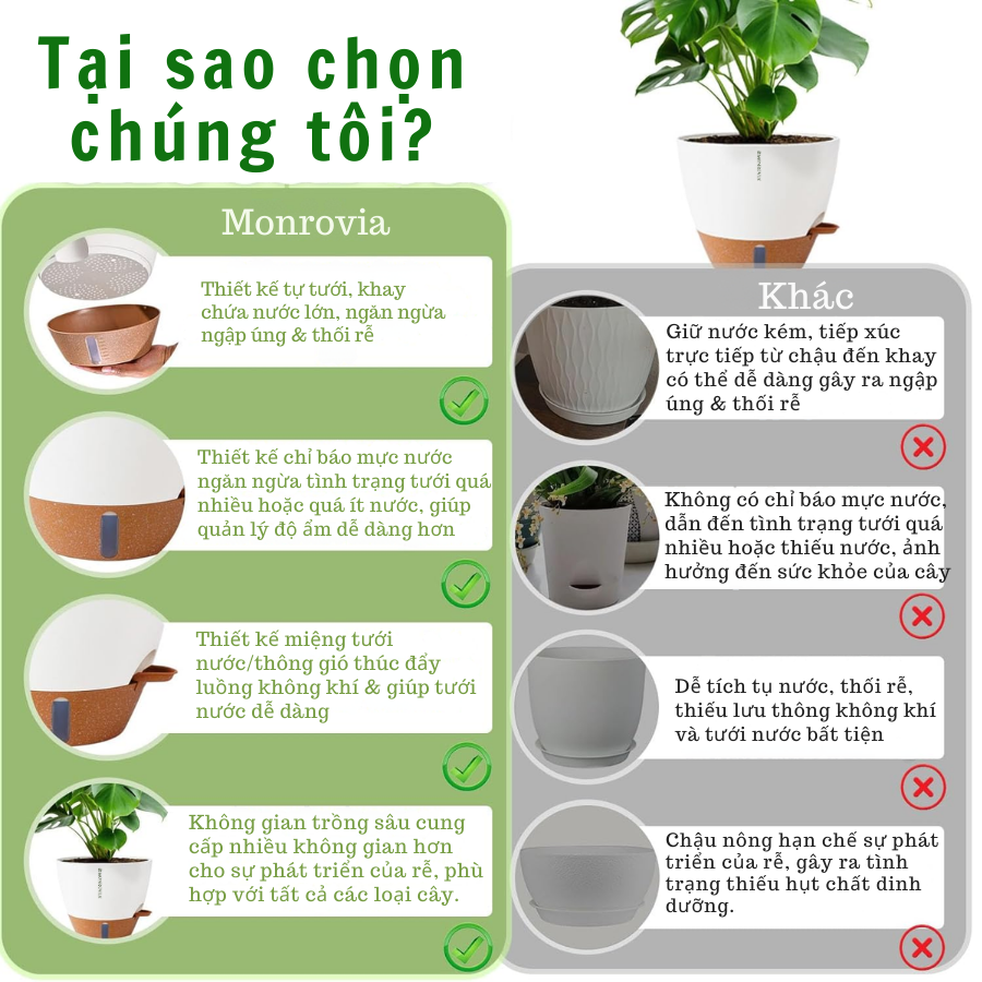 Ứng dụng chậu Monrovia A60