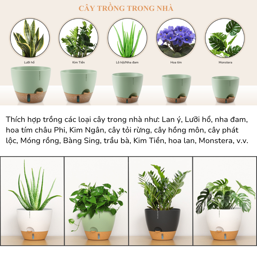 Chậu Monrovia A60 - Hướng dẫn sử dụng