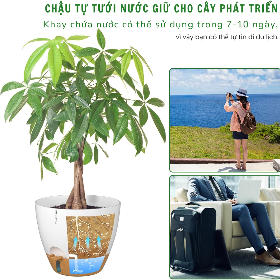 Mô tả Chậu trồng cây tự tưới thông minh Monrovia A60 cho cây trong nhà và ngoài trời, decor, văn phòng - 8