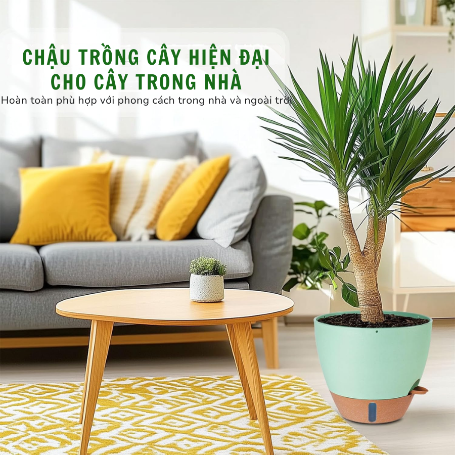 Kích thước chậu Monrovia A60