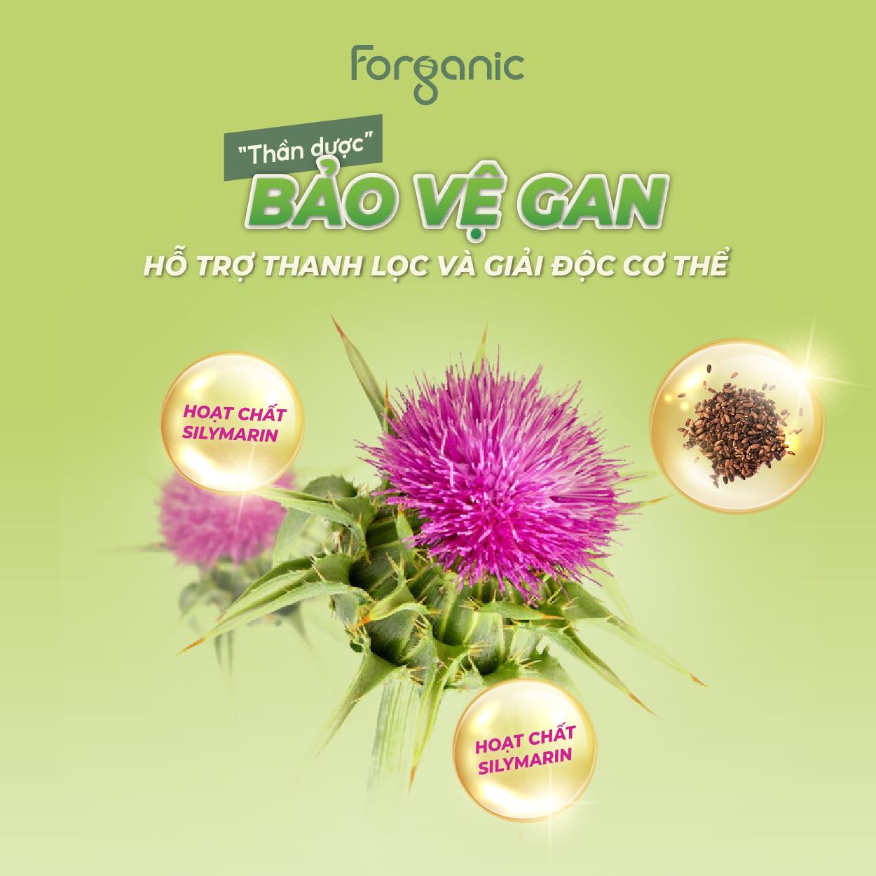 Mô tả Sữa Hạt Forganic Bữa ăn thay thế 300G (10 gói) - Dinh dưỡng đủ đầy, Thanh lọc cơ thể - 4