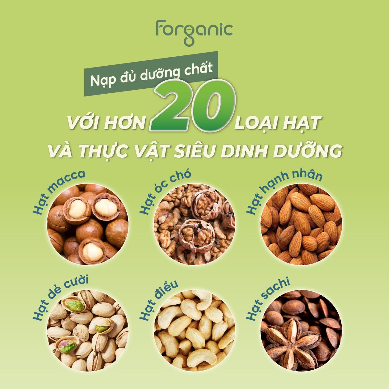 Mô tả Sữa Hạt Forganic Bữa ăn thay thế (Lon 400G) - Dinh dưỡng đủ đầy, Thanh lọc cơ thể - 5