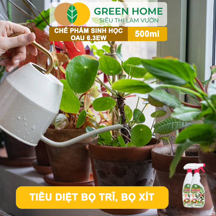 OAU 6.3EW phổ tác dụng rộng
