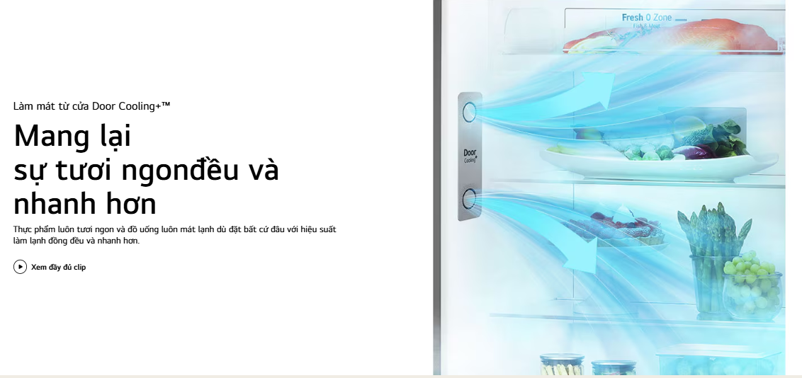 Mô tả Tủ lạnh LG ngăn đá trên Smart Inverter™, ngăn lấy nước ngoài 264L màu đen GV-D262BL - 2