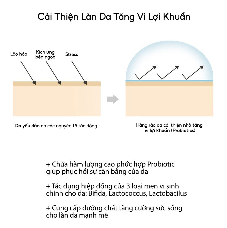 Mô tả BIODANCE Tinh Chất Dưỡng Sáng Mờ Thâm Mụn Hệ Miễn Dịch Da Mềm Mịn Skin Glow Vital Ampoule 50ml - 5
