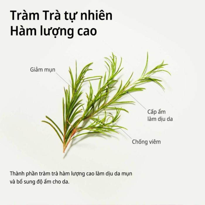 Mô tả Mặt nạ tràm trà làm dịu da Some By Mi Tea Tree Calming Sheet Mask 25g - 2