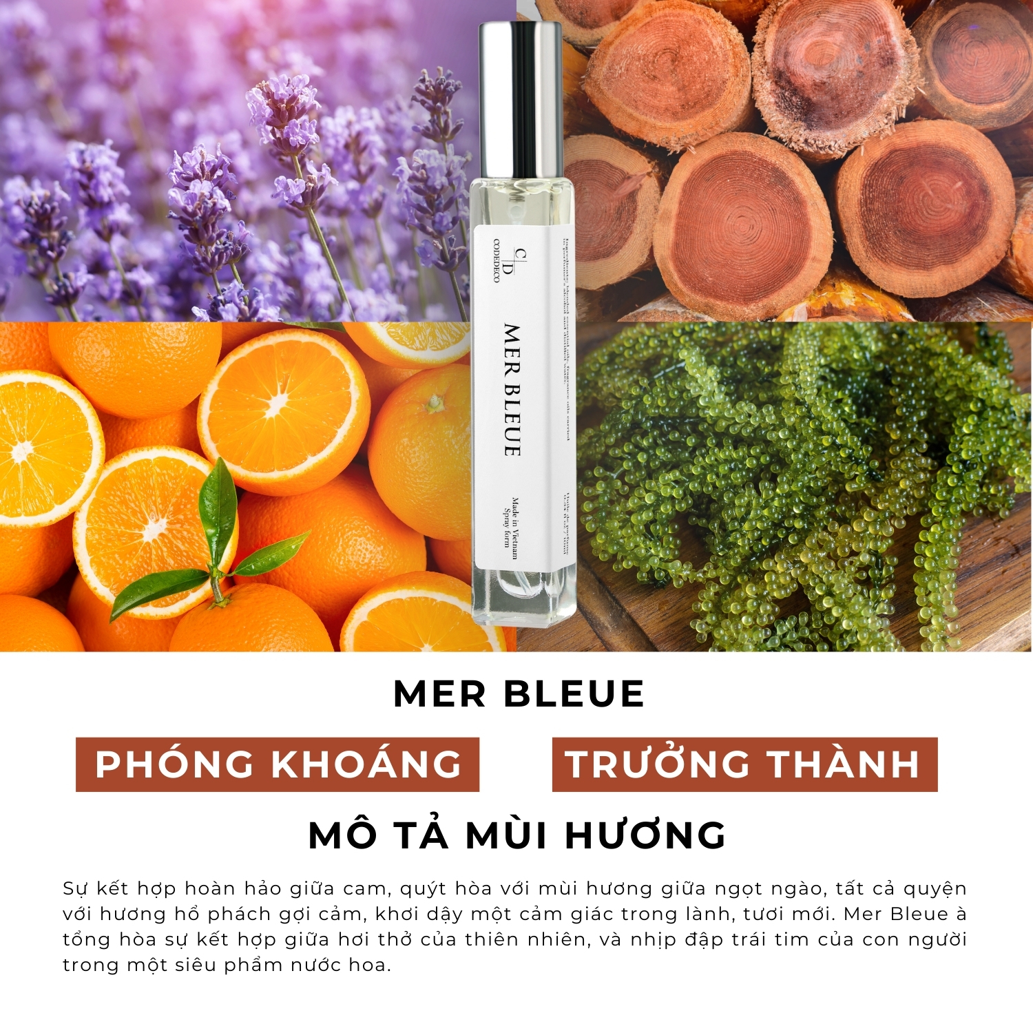 Mô tả Tinh dầu thơm nam CODEDECO Mer Bleue 10ml dạng xịt - Phóng khoáng, Nam tính, Trưởng thành - 1
