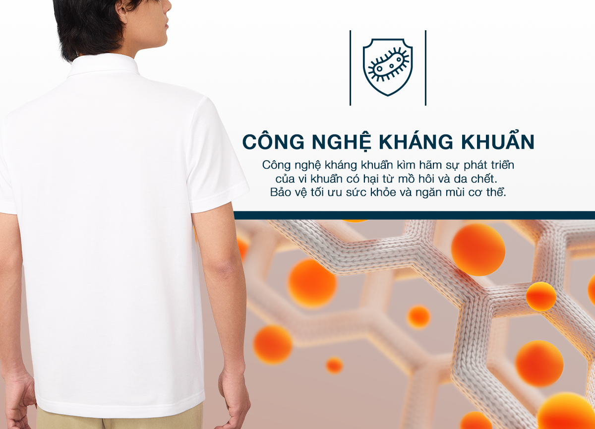 Mô tả Áo thun nam Polo DETERMINANT  Cotton kháng bền màu, thoáng khí - P12 - 4