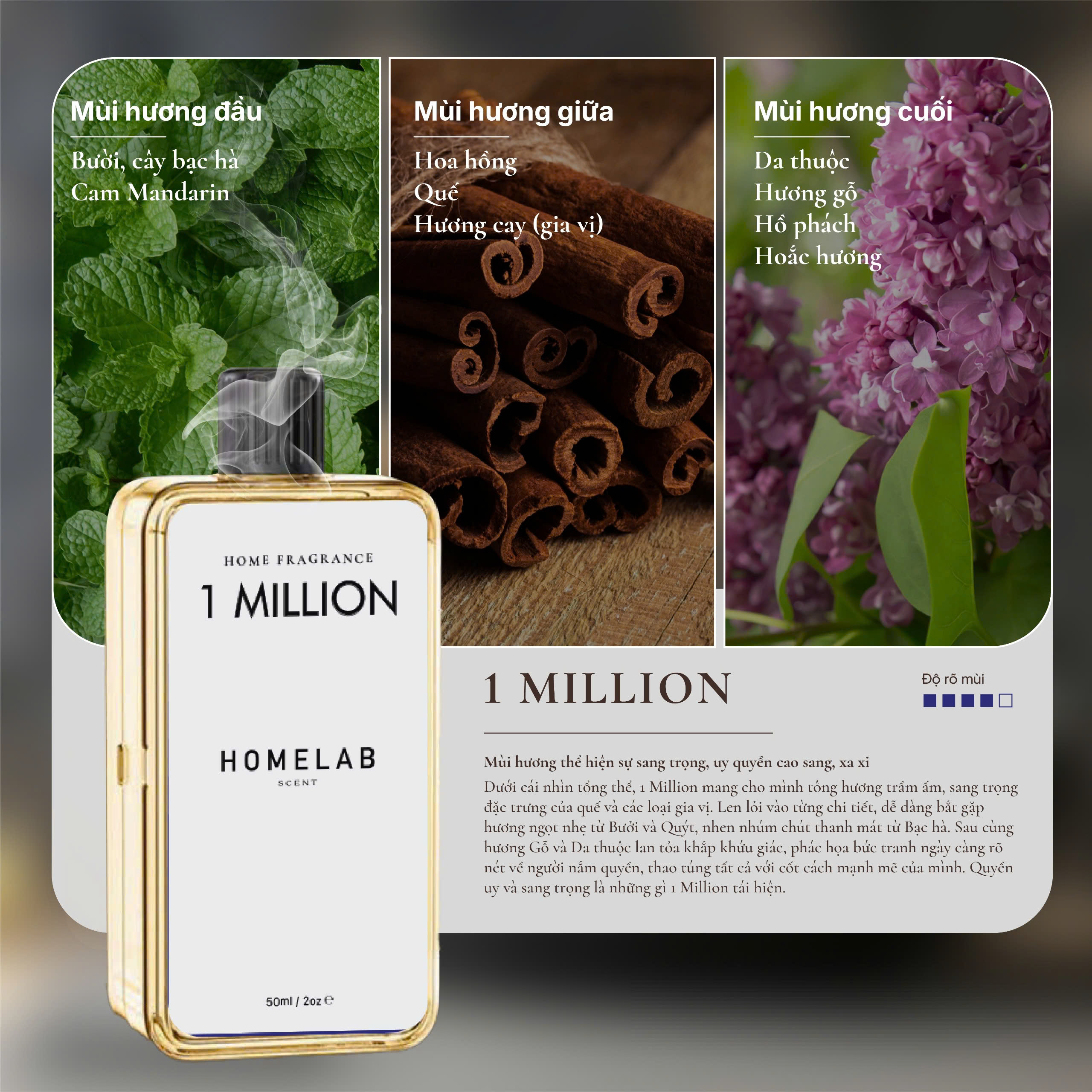 Mô tả Lọ Tinh Dầu Bổ Sung máy xịt hương thơm thiên nhiên 50ml Homelab Scent - Phù Hợp Cho Văn Phòng, Nhà WC, Phòng Nhỏ - 6