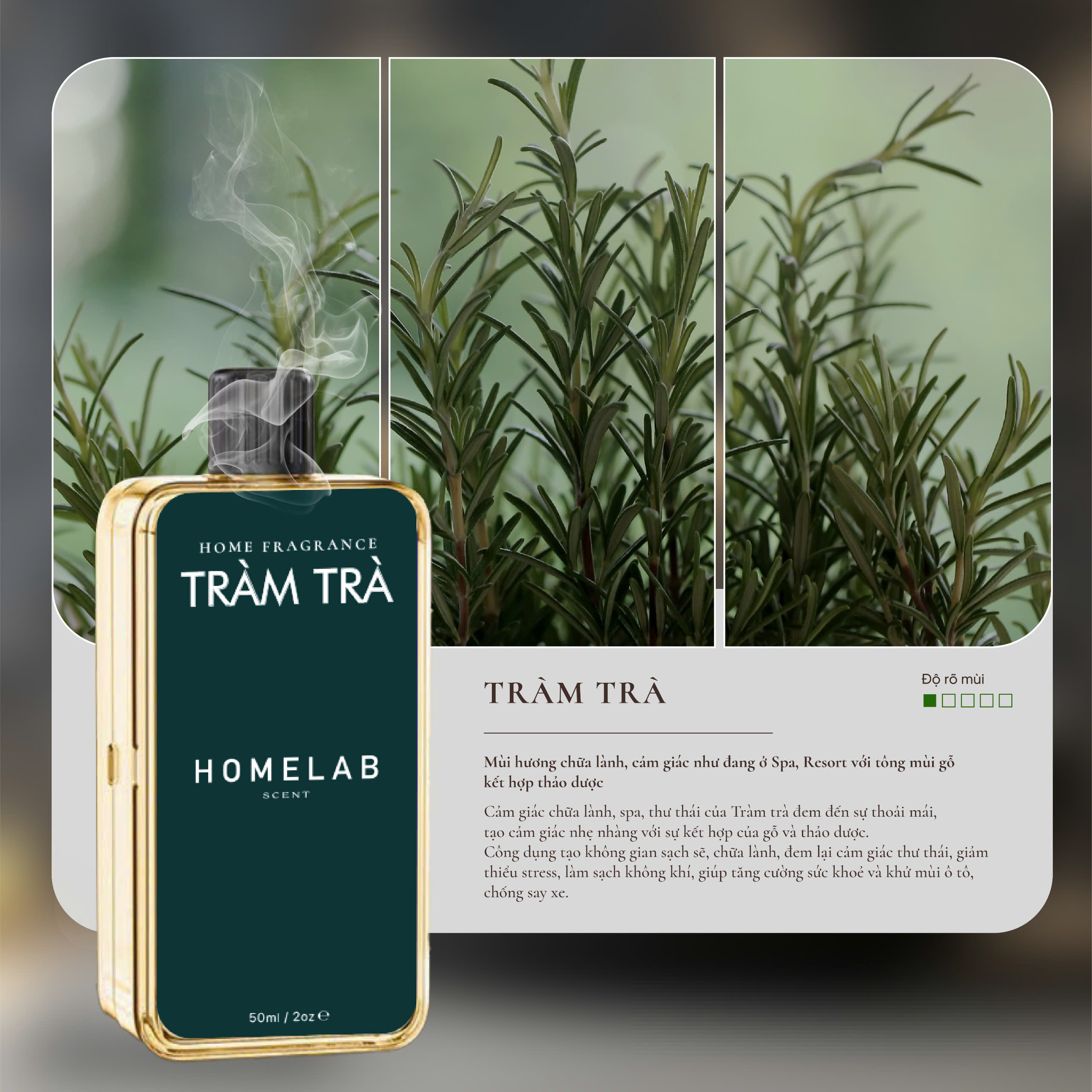 Mô tả Lọ Tinh Dầu Bổ Sung máy xịt hương thơm thiên nhiên 50ml Homelab Scent - Phù Hợp Cho Văn Phòng, Nhà WC, Phòng Nhỏ - 8