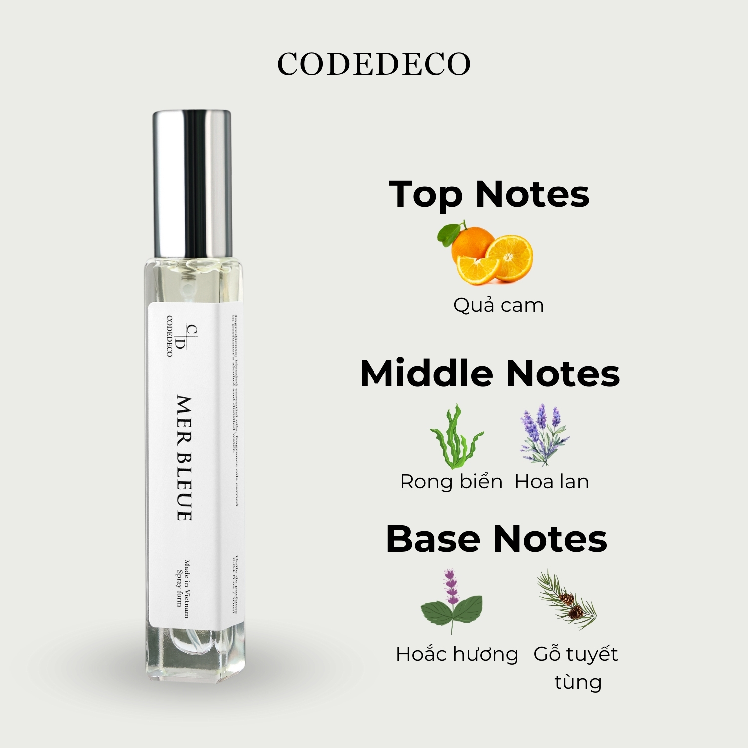 Mô tả Tinh dầu thơm nam CODEDECO Mer Bleue 10ml dạng xịt - Phóng khoáng, Nam tính, Trưởng thành - 2