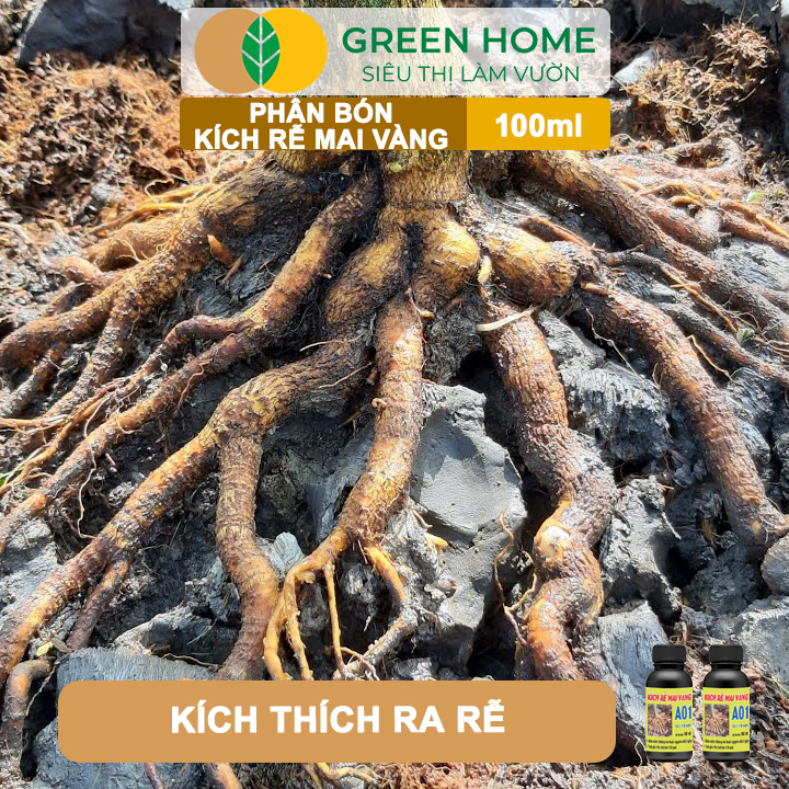 Dưỡng chất đa dạng Phân Bón Kích Rễ Mai Vàng GreenHome