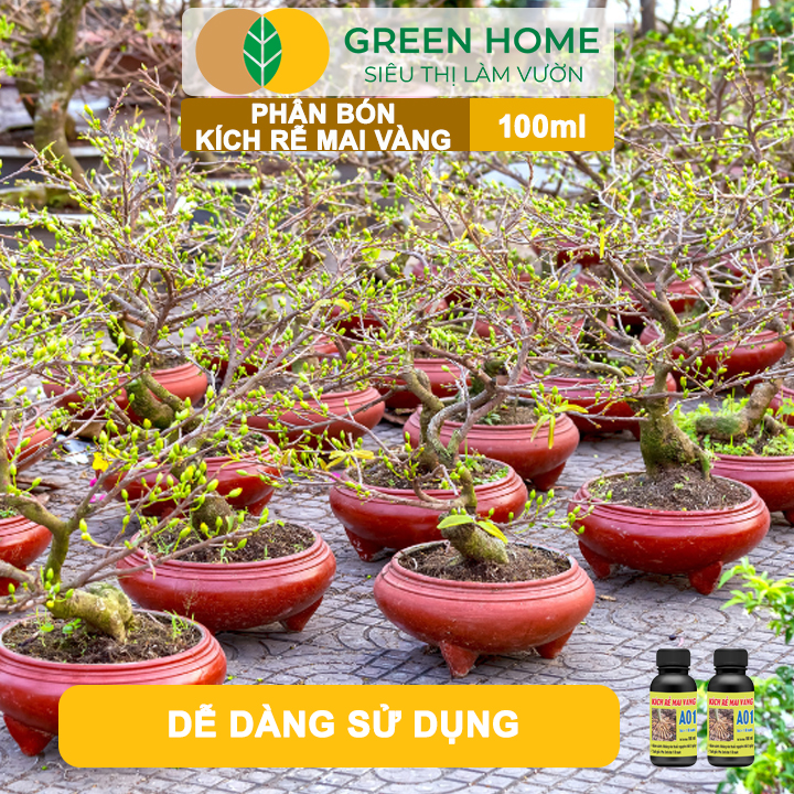 Dễ dàng sử dụng Phân Bón Kích Rễ Mai Vàng GreenHome