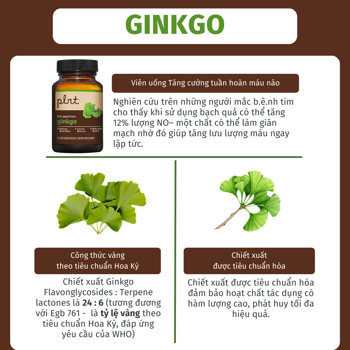 Mô tả Viên uống hoạt huyết dưỡng não PLNT Ginkgo tăng cường tuần hoàn 60 viên - 2