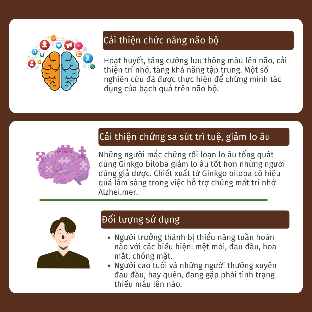 Mô tả Viên uống hoạt huyết dưỡng não PLNT Ginkgo tăng cường tuần hoàn 60 viên - 3
