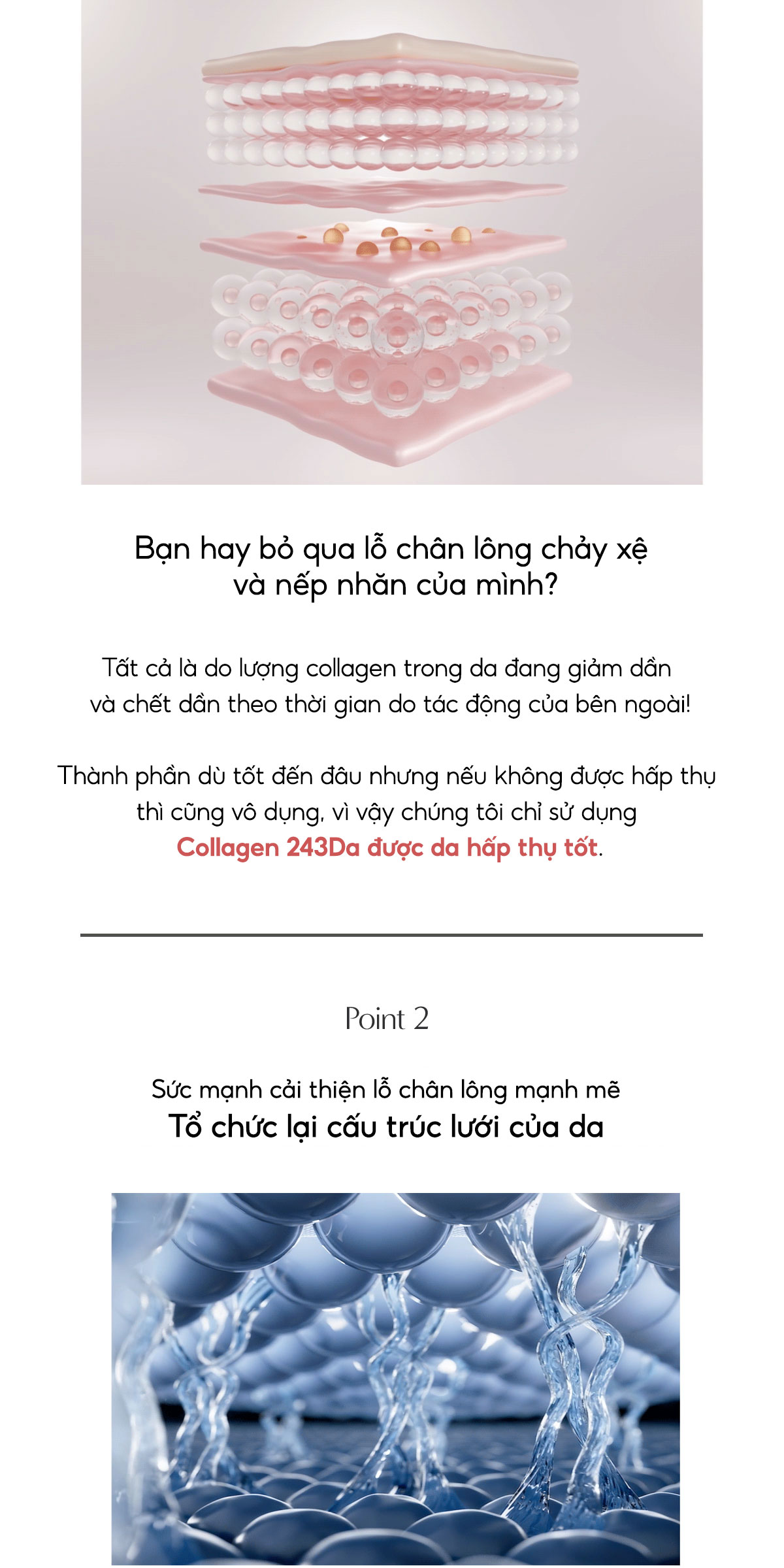 Mô tả BIODANCE Tinh chất Collagen Thu Nhỏ Lỗ Chân Lông Cải Thiện Độ Đàn Hồi Da Pore Tightening Collagen Ampoule 50ml - 3