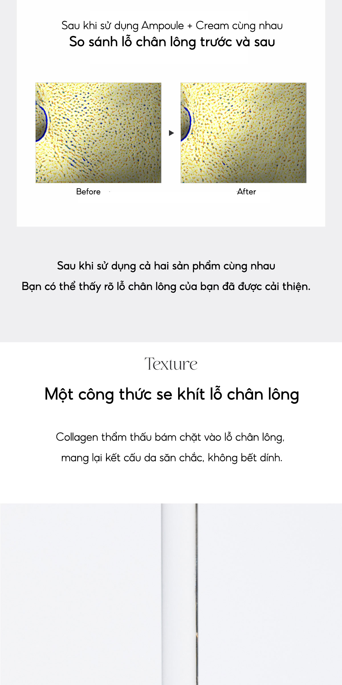 Mô tả BIODANCE Tinh chất Collagen Thu Nhỏ Lỗ Chân Lông Cải Thiện Độ Đàn Hồi Da Pore Tightening Collagen Ampoule 50ml - 7