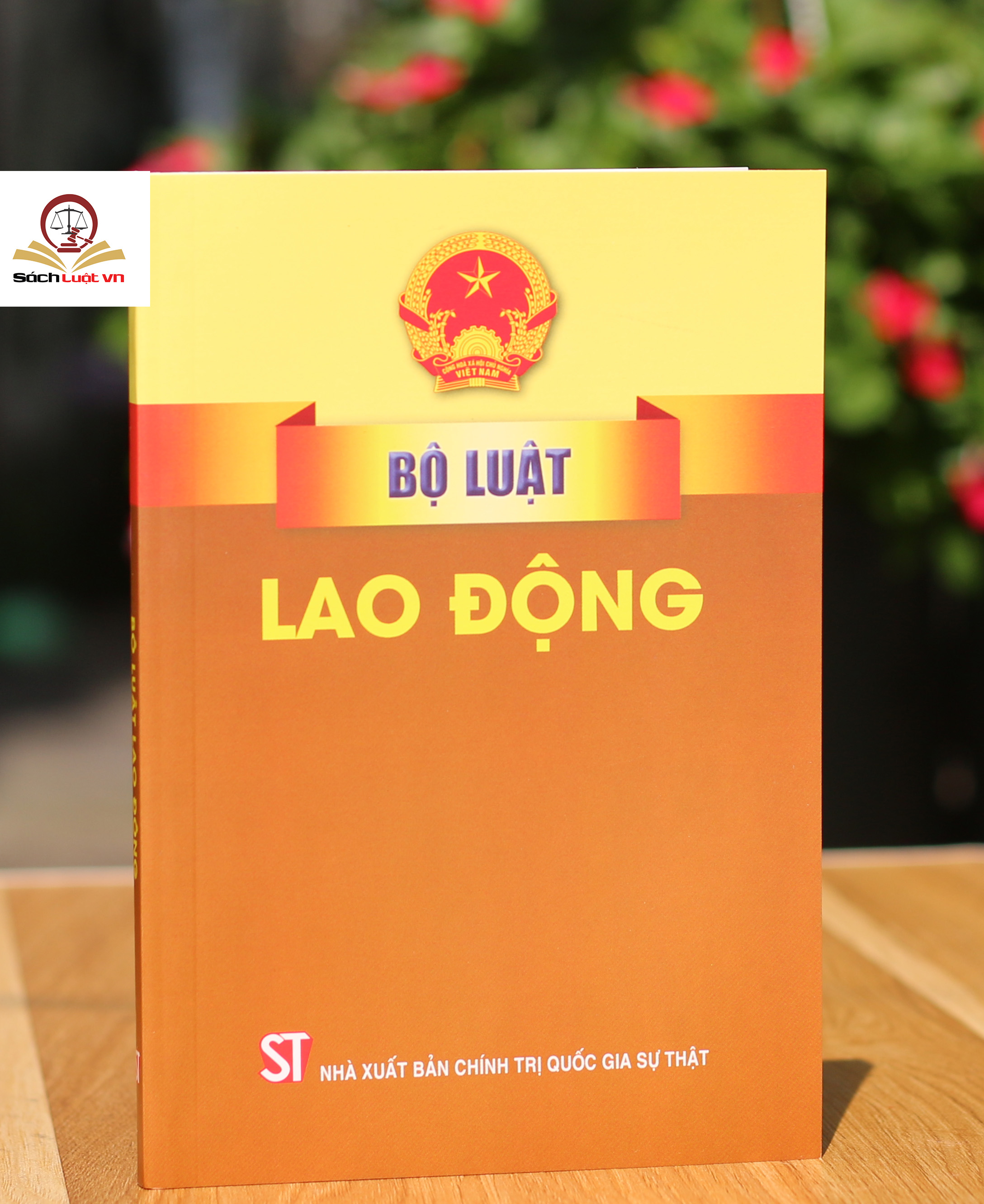 Mô tả Sách- Bộ luật lao động (Hiện hành) - 6