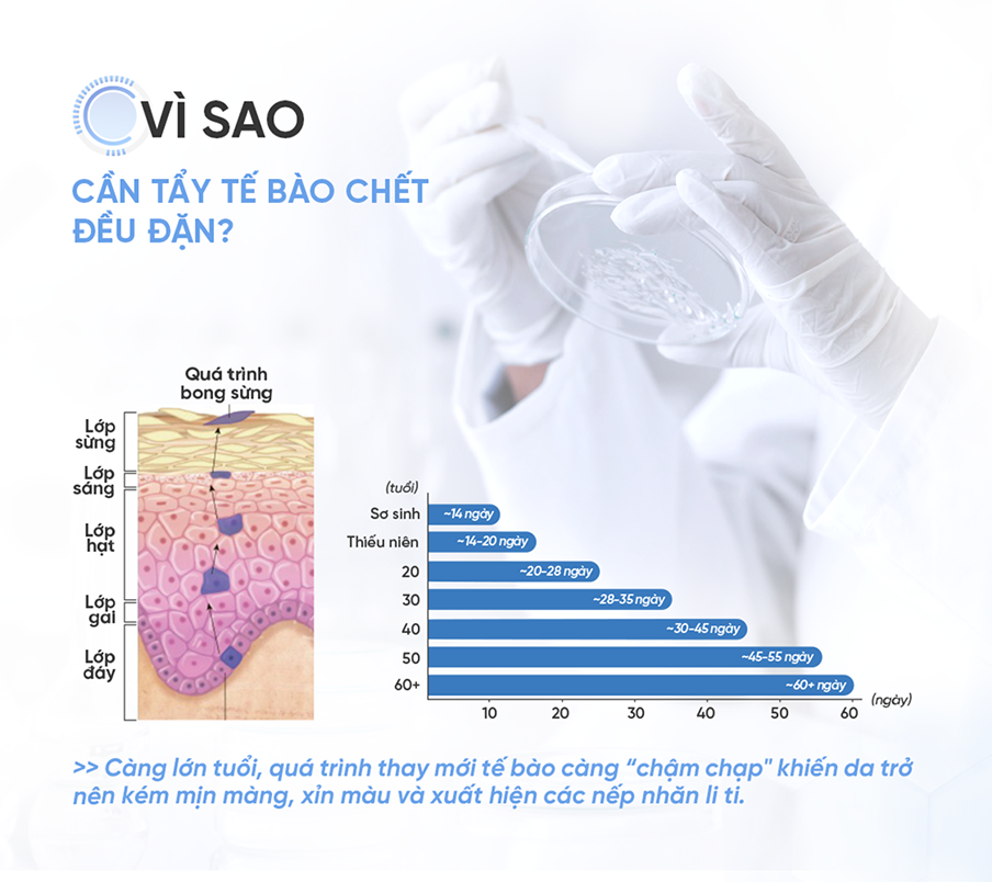 Mô tả [KOL LIVE] Dung Dịch Tẩy Tế Bào Chết All Target Skin Renewing Solution Pionin + 12% AHA/BHA/PHA 120ml - 5
