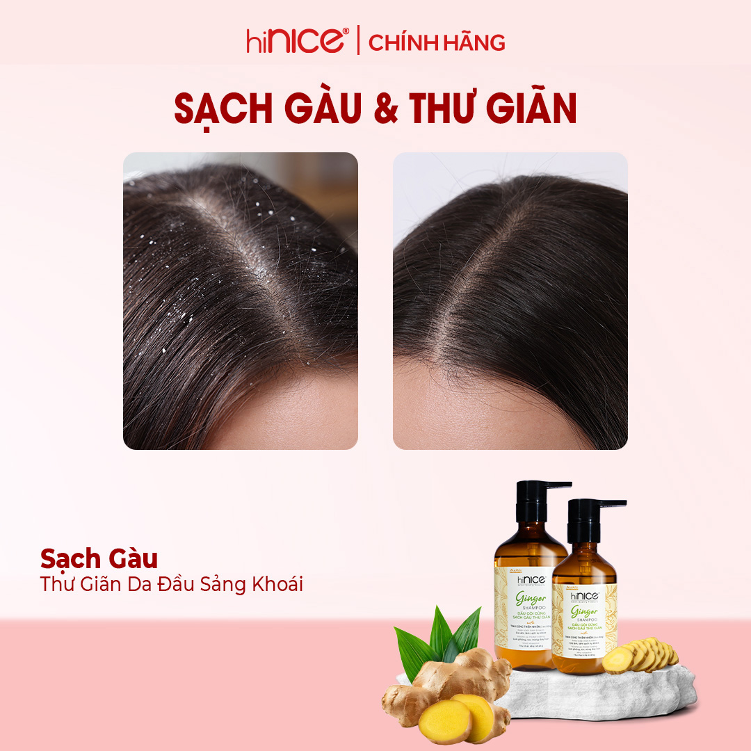 Mô tả Bộ Gội Xả Tinh Dầu Gừng Thiên Nhiên hiNICE Ginger Hỗ Trợ Phục Hồi Tóc Khô Xơ, Sạch Gàu - 1