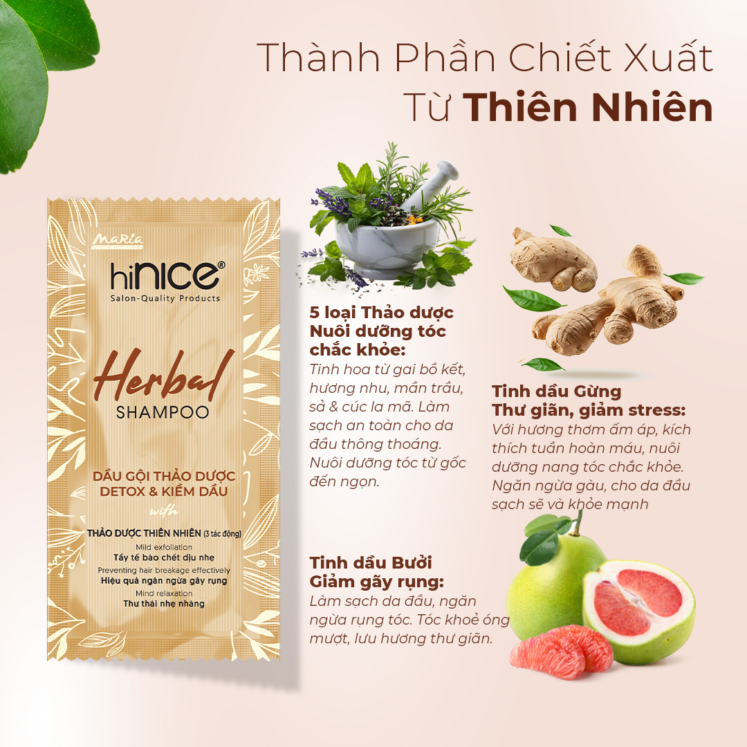 Mô tả Gói Dầu Gội Tinh Dầu Thảo Dược Thiên Nhiên hiNICE Herbal Shampoo Hỗ Trợ Detox, Kiềm Dầu Da Đầu - 3