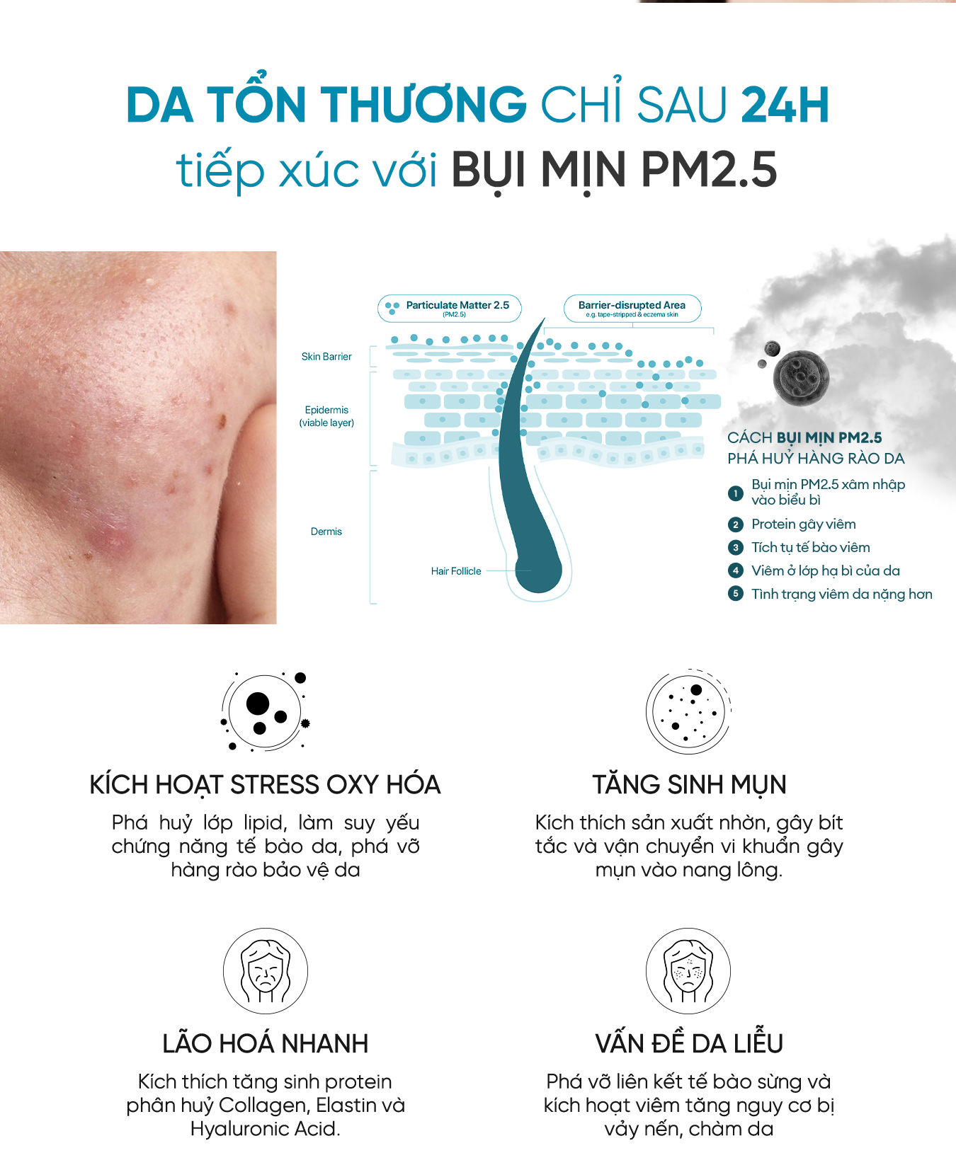 Mô tả Sữa Rửa Mặt Loại Bỏ Bụi Mịn, Ngừa Mụn, Sáng Da Rejuvaskin Facial Cleanser 100ml - 5