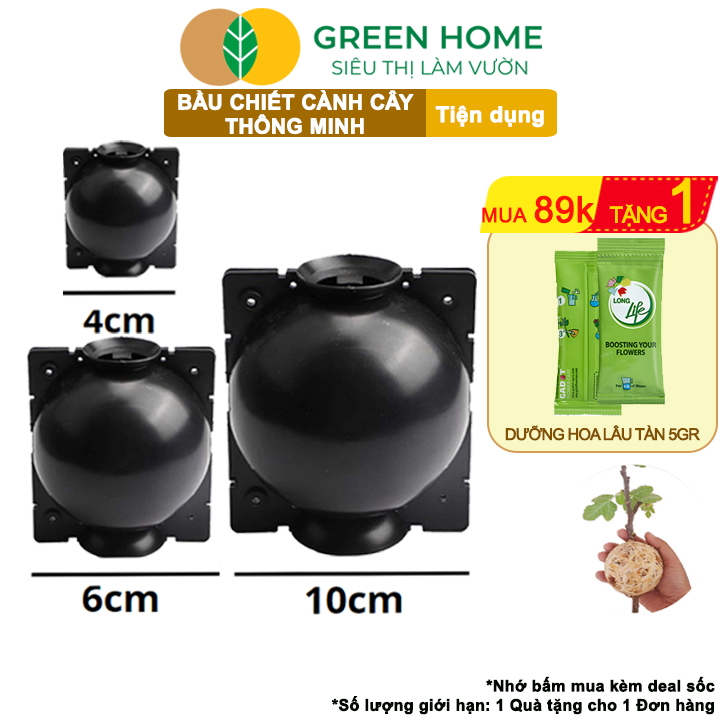 Bầu chiết cành GreenHome nhiều kích thước