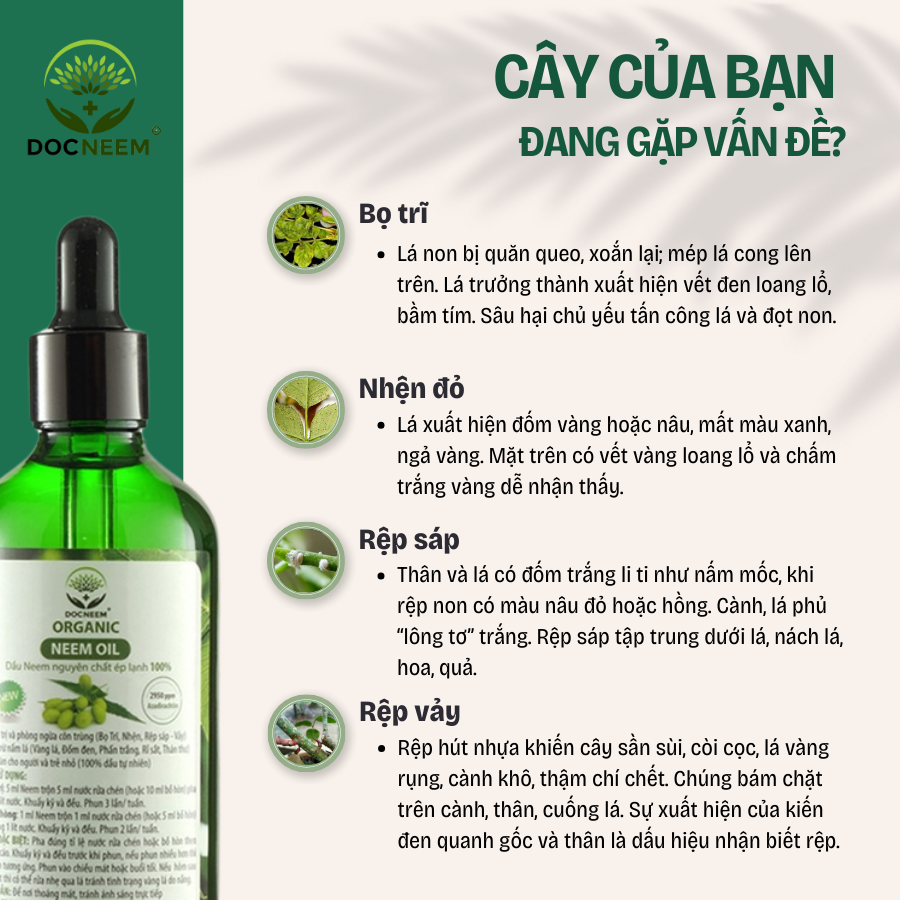 Mô tả Neem oil phòng trị sâu bệnh hoa hồng, phong lan, cây cảnh DOCNEEM hữu cơ, nguyên chất ép lạnh, hàng chính hãng - 4