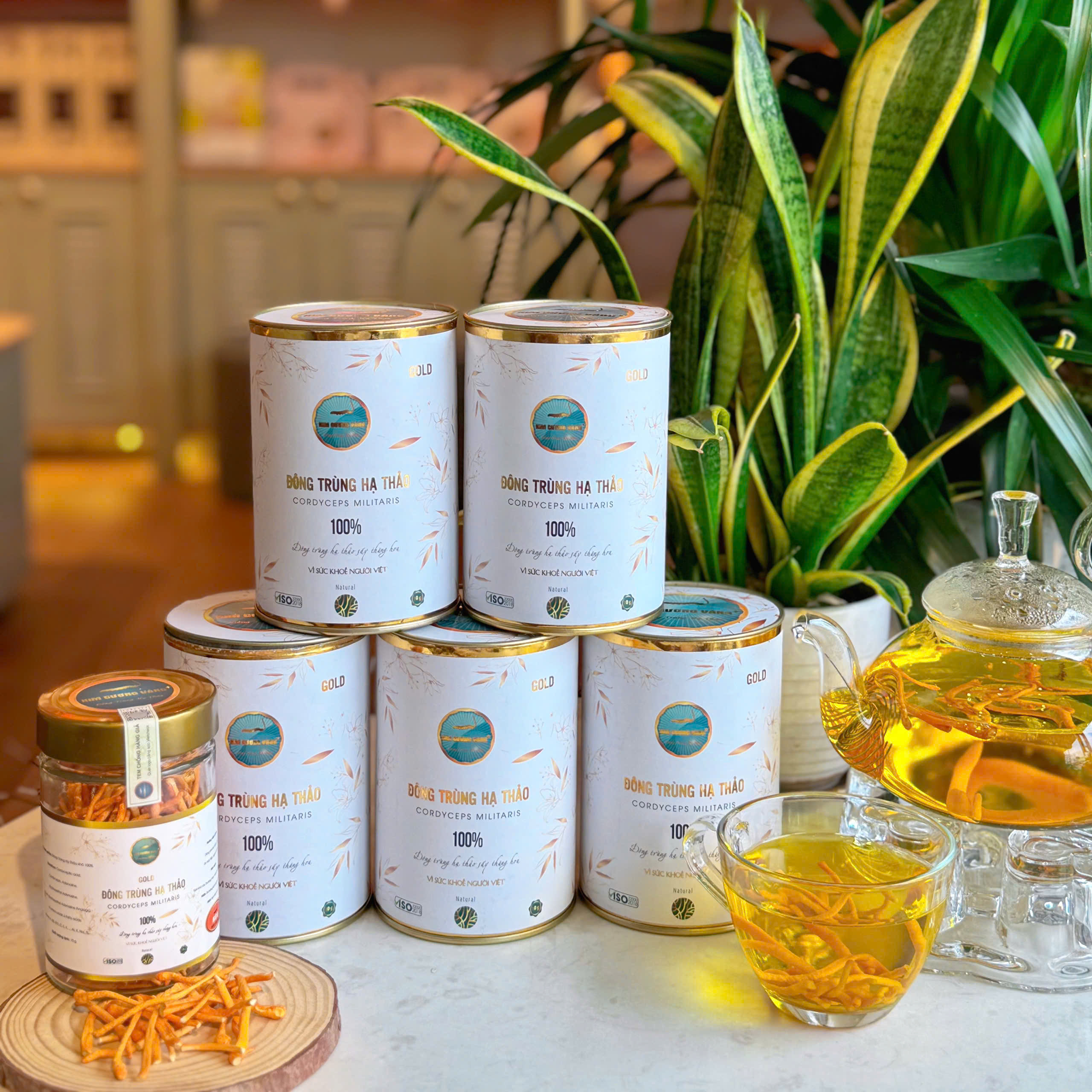 Mô tả Combo 5 Hộp Đông Trùng Hạ Thảo GOLD Kim Cương Vàng Tăng Đề Kháng Bảo Vệ Sức Khỏe combo 5 hộp/50gram - 2