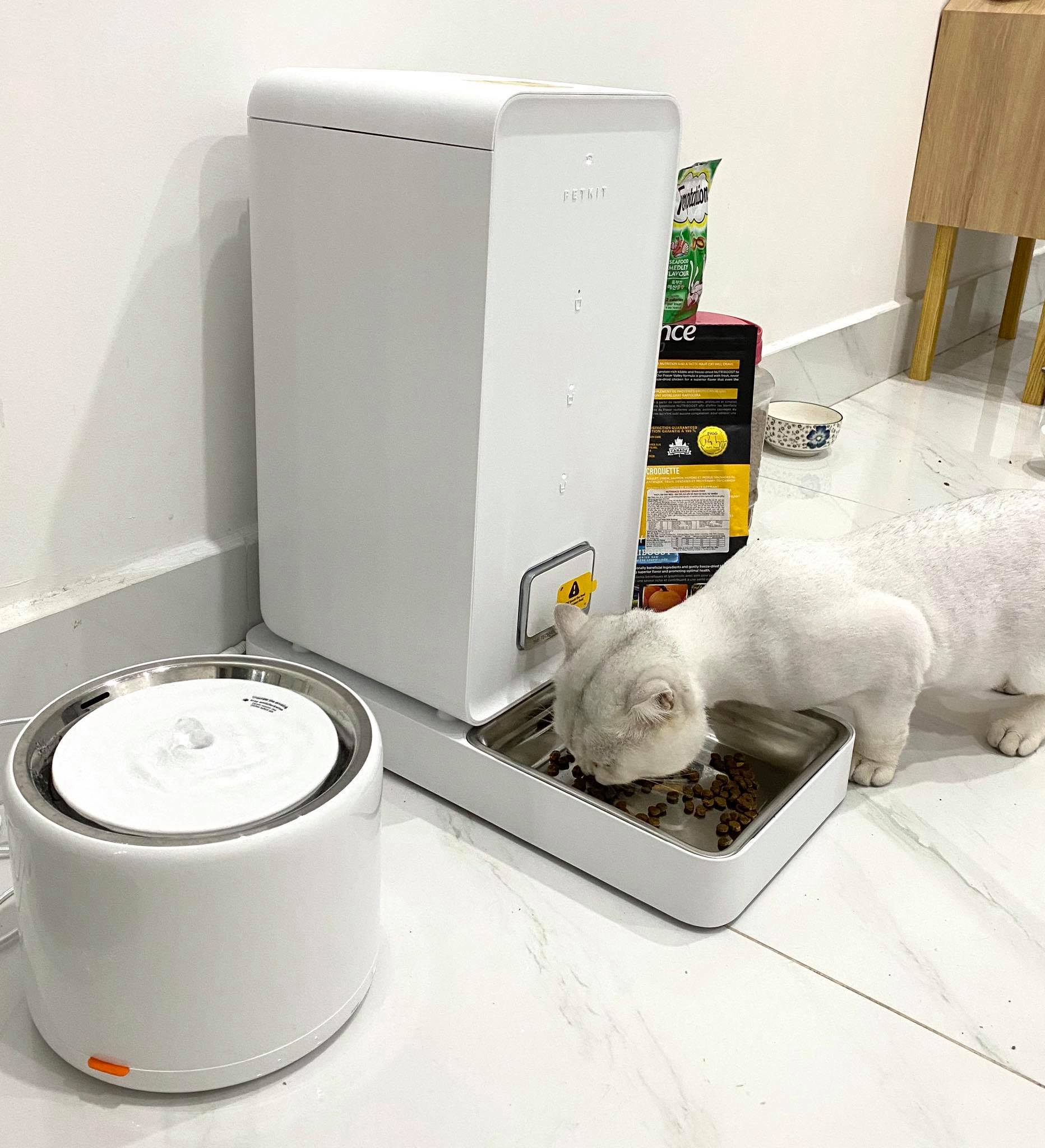 Mô tả Máy nước Eversweet 3 Petkit cho thú cưng - 1