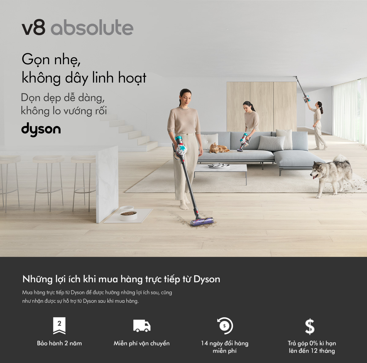 Mô tả Máy hút bụi không dây Dyson V8 ™ Absolute (Xám Bạc) - 1