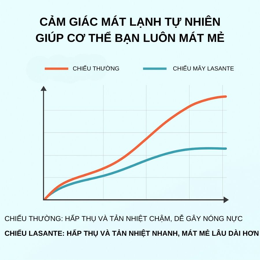 Mô tả Chiếu Mây Điều Hòa Băng Lạnh Chính Hãng Lasante Chun Bọc Đệm , 4 Lớp Mát, Thông Thoáng Cho Mùa Hè - 3