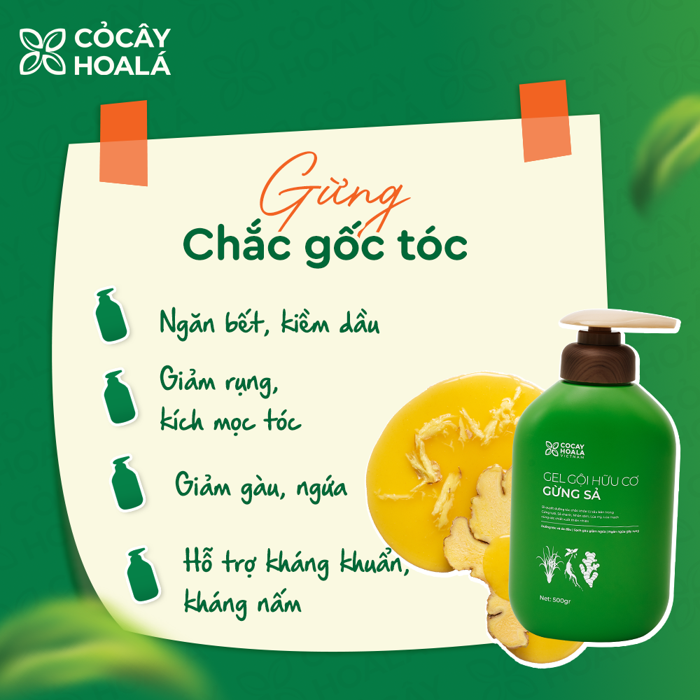 Mô tả Dầu Gội Thảo Dược Cỏ Cây Hoa Lá Gừng Sả Kích Mọc Tóc, Hỗ Trợ Giảm Bết Dầu 500g - 3