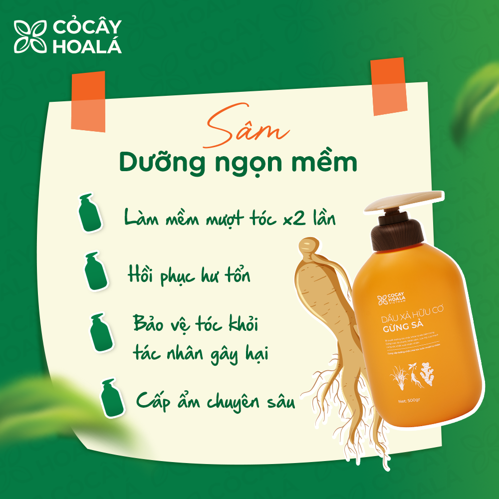 Mô tả Dầu Gội Thảo Dược Cỏ Cây Hoa Lá Gừng Sả Kích Mọc Tóc, Hỗ Trợ Giảm Bết Dầu 500g - 4