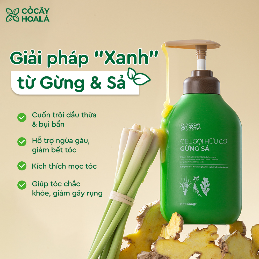 Mô tả Dầu Gội Thảo Dược Cỏ Cây Hoa Lá Gừng Sả Kích Mọc Tóc, Hỗ Trợ Giảm Bết Dầu 500g - 2