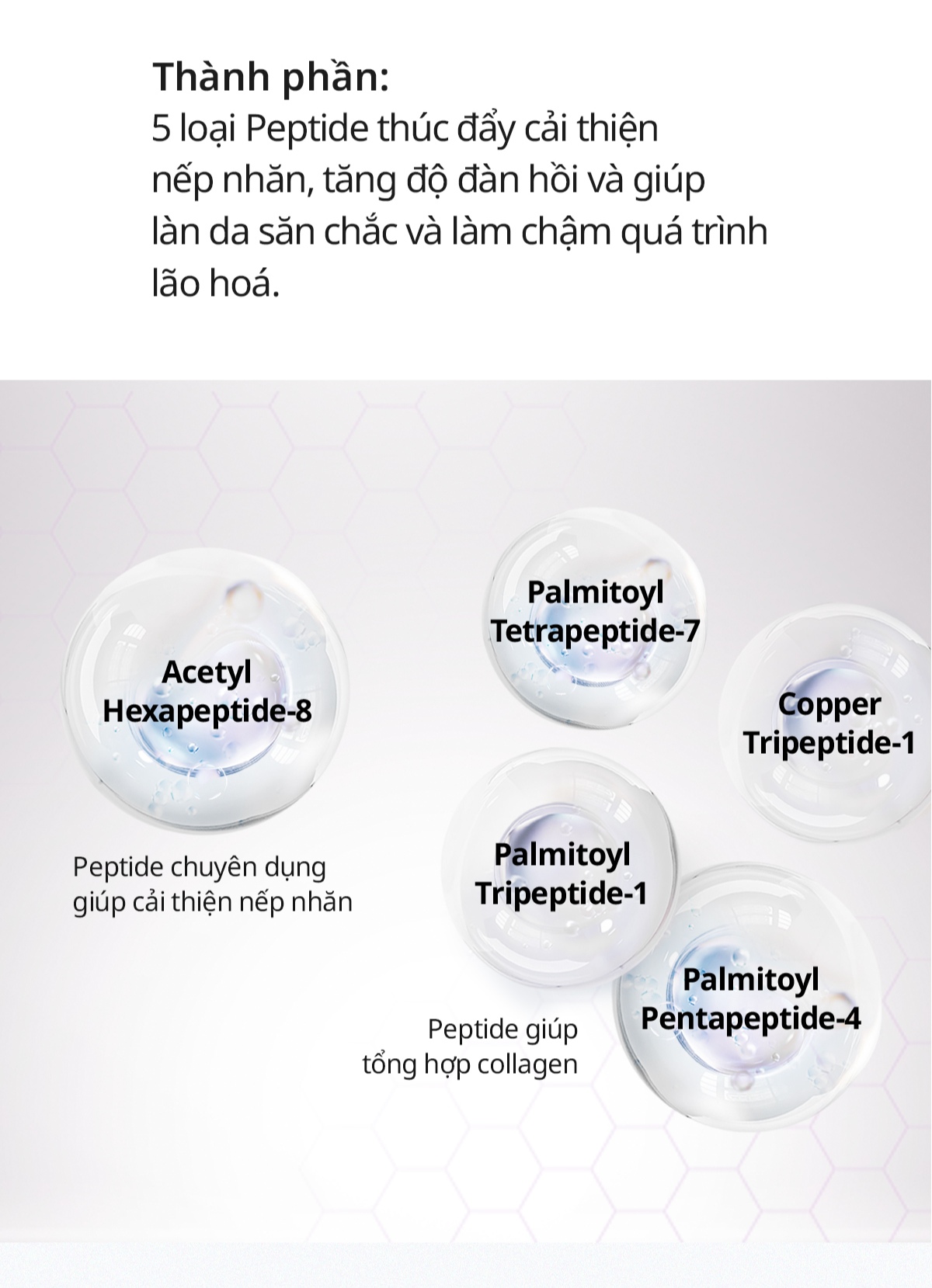 Mô tả Tinh chất cải thiện độ đàn hồi da làm sáng da BOM Peptide Power Ampoule 30ml - 6