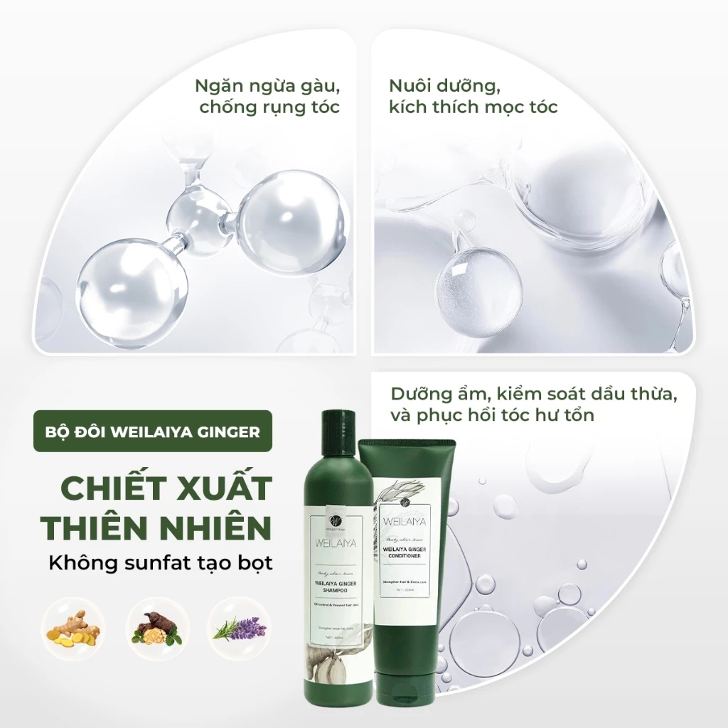 Mô tả Bộ dầu gội và dầu xả chính hãng Weilaiya tinh chất gừng hỗ trợ mọc tóc ngăn rụng tóc cho da đầu dầu - 2