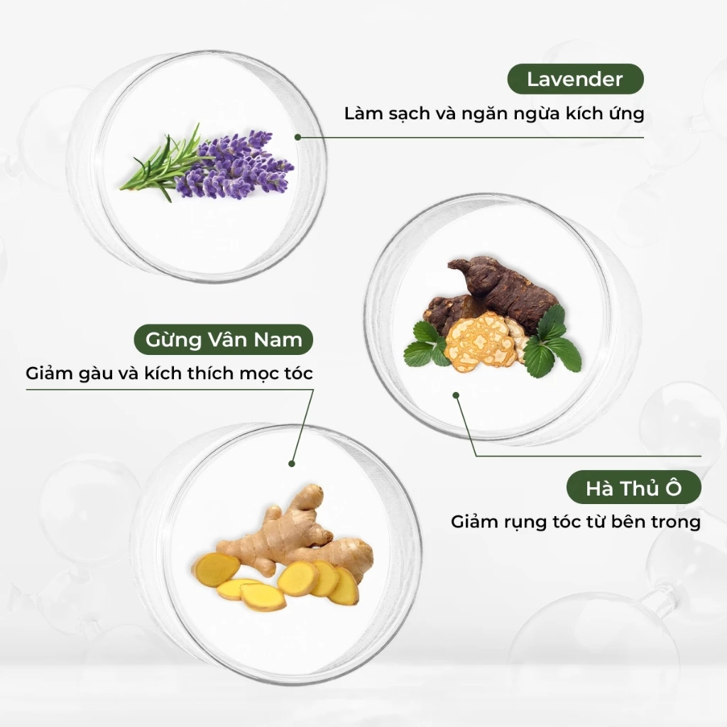 Mô tả Bộ dầu gội và dầu xả chính hãng Weilaiya tinh chất gừng hỗ trợ mọc tóc ngăn rụng tóc cho da đầu dầu - 3