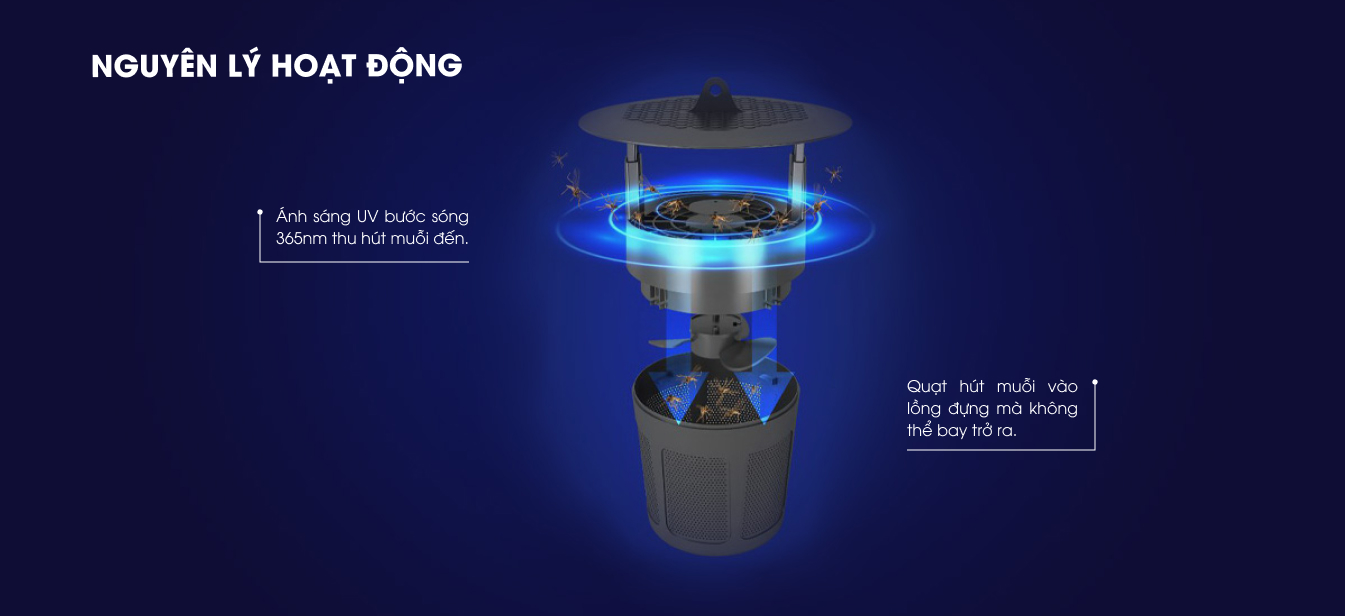 Bảo hành đèn bắt muỗi Rạng Đông