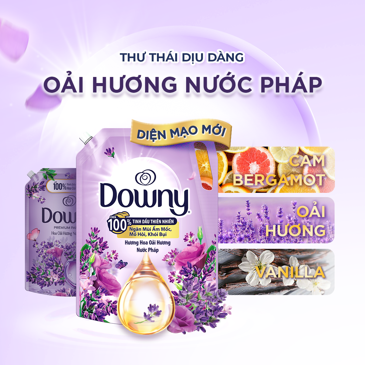 Downy Oải Hương Nước Pháp