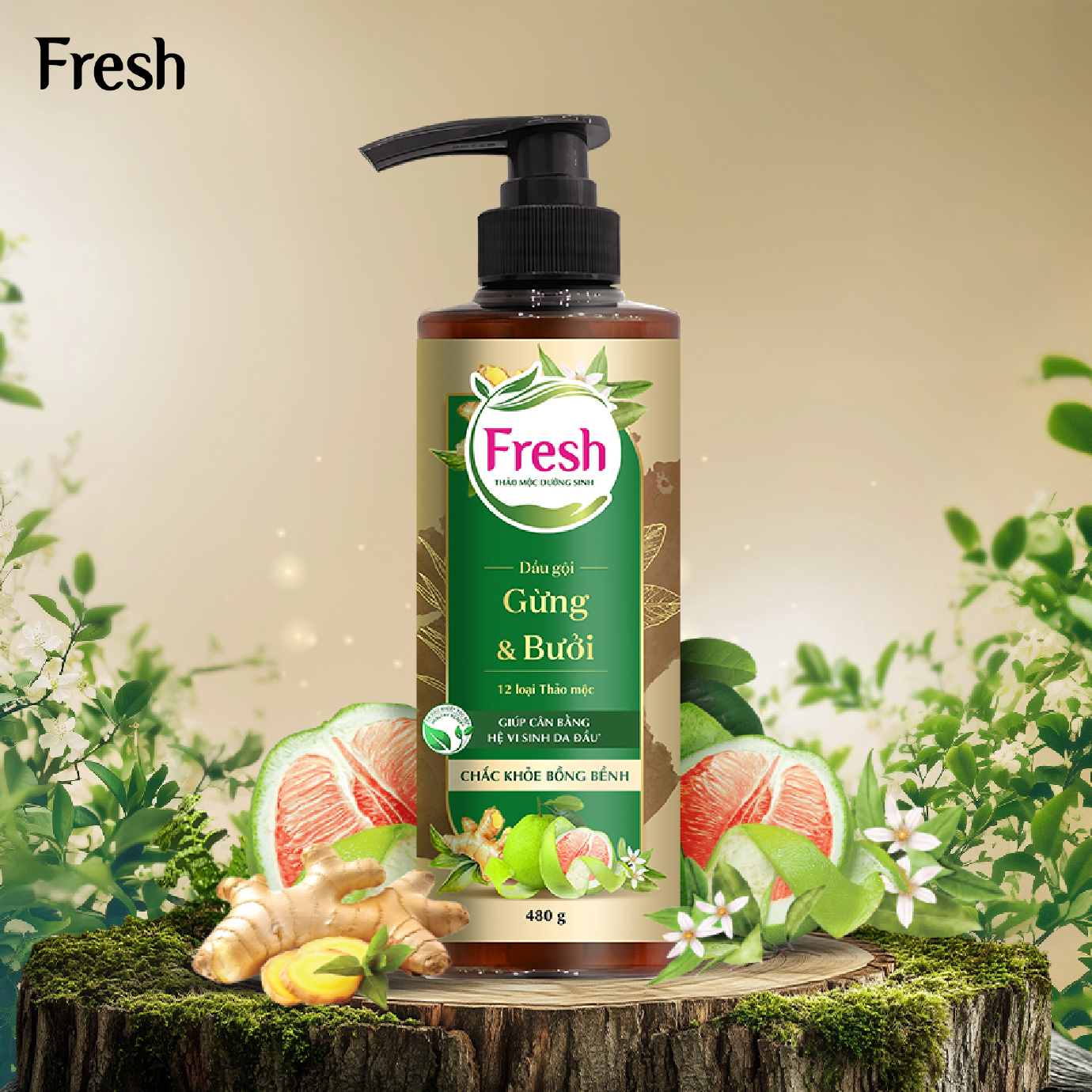 Mô tả Phiên bản mới - Combo 2 chai Dầu gội Fresh Thảo Mộc Dưỡng Sinh - Sạch gàu + Chắc khỏe 480g/chai - 4