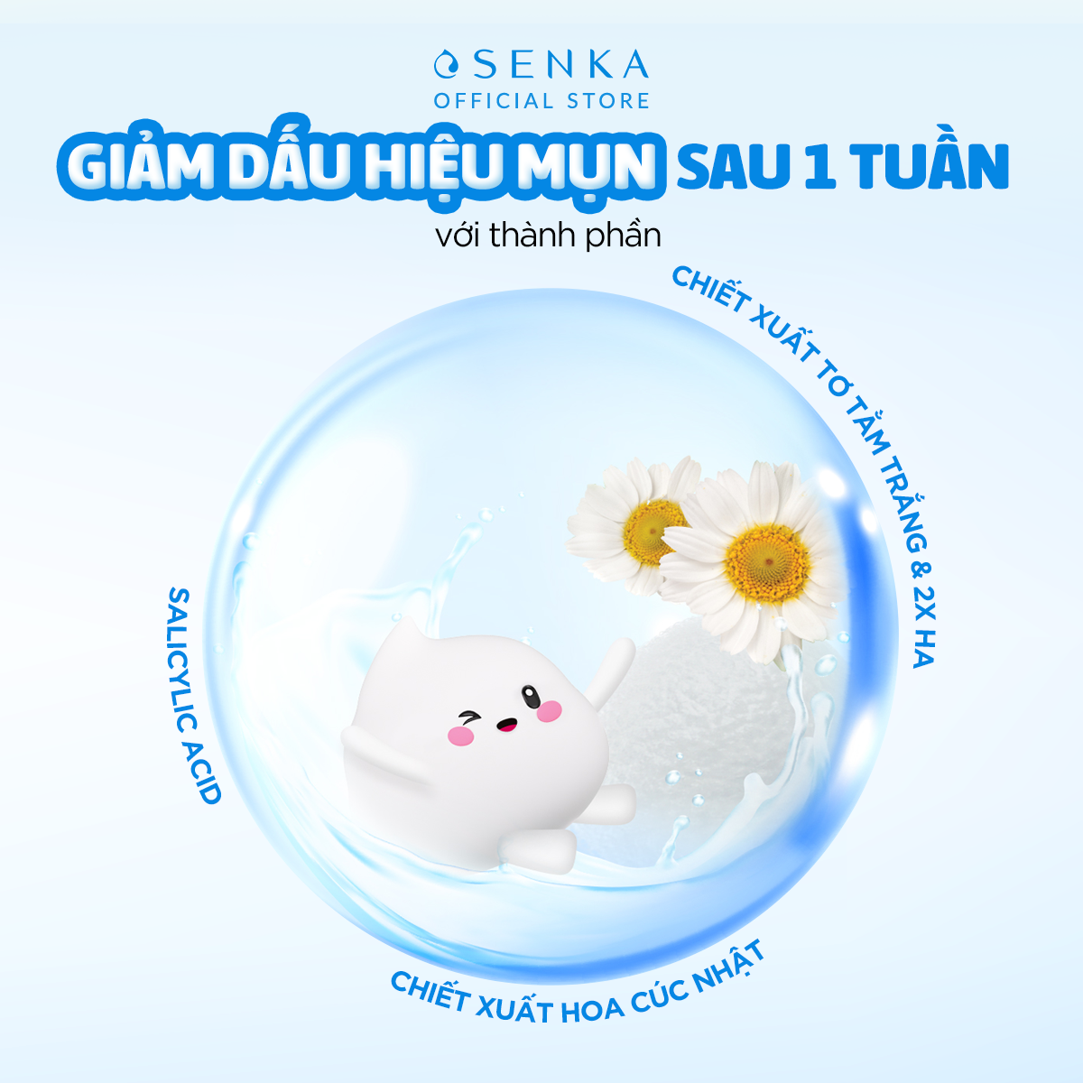 Senka Perfect Whip Acne Care Before After