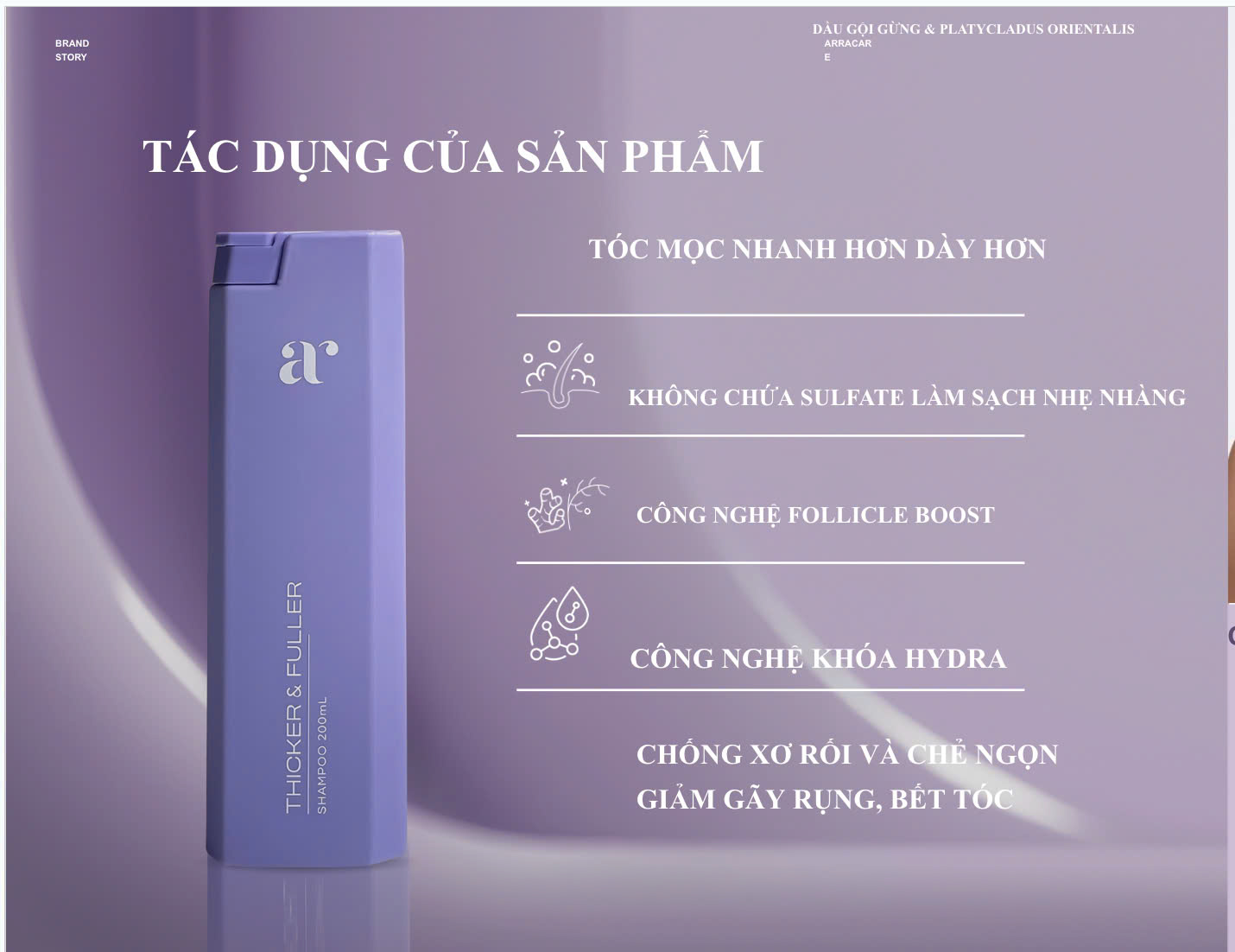 Mô tả Dầu Gội Mọc Tóc Nhanh ARRACARE THICKER & FULLER  Không Sulfate, Ngừa Rụng, Kích Mọc Tóc Tự Nhiên 200ml - 1