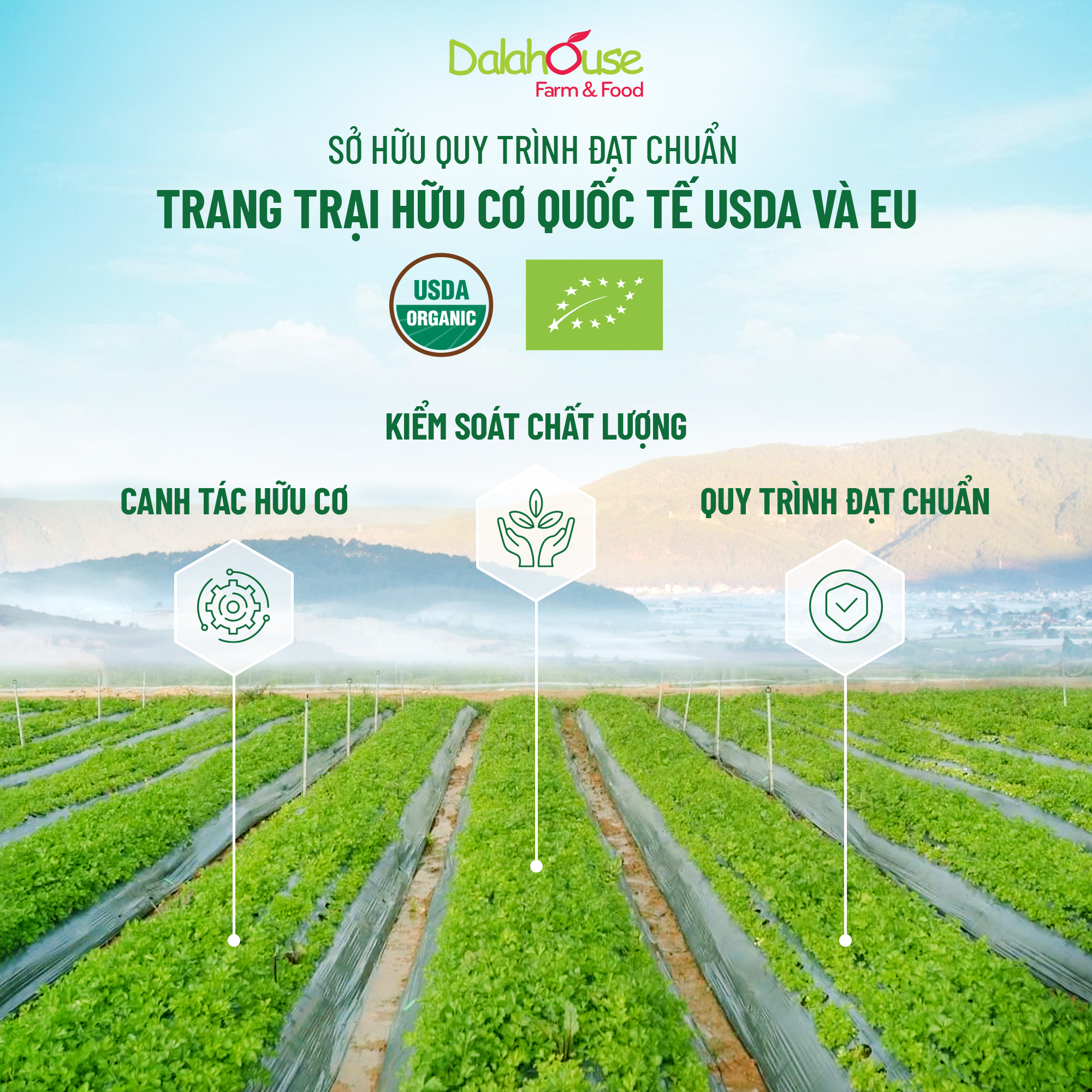 Mô tả Bột sữa hạt dinh dưỡng từ rau củ hữu cơ Dalahouse 200gr bí đỏ, hạt sen, hạnh nhân và củ dền đậu đỏ hạt điều - 1