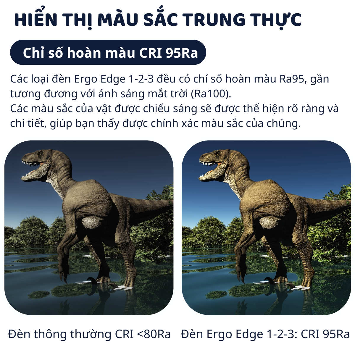 Mô tả Đèn bàn học Led bảo vệ mắt Ergo Edge DandiHome chống cận để học tập, làm việc, có thể kéo dài, gấp gọn - 4 chế độ sáng - 5