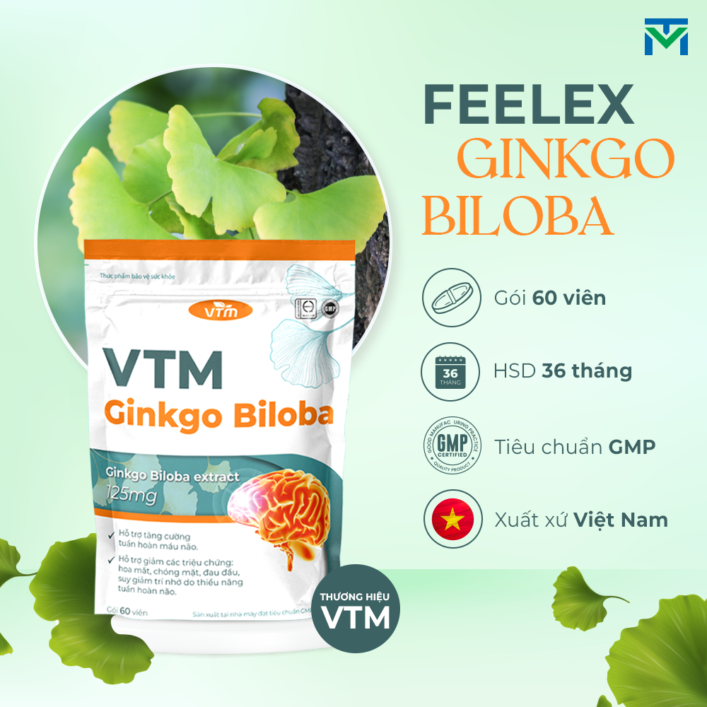 Mô tả Viên uống bổ não VTM Ginkgo Biloba cải thiện trí nhớ tăng cường tư duy - túi 60 viên - 1