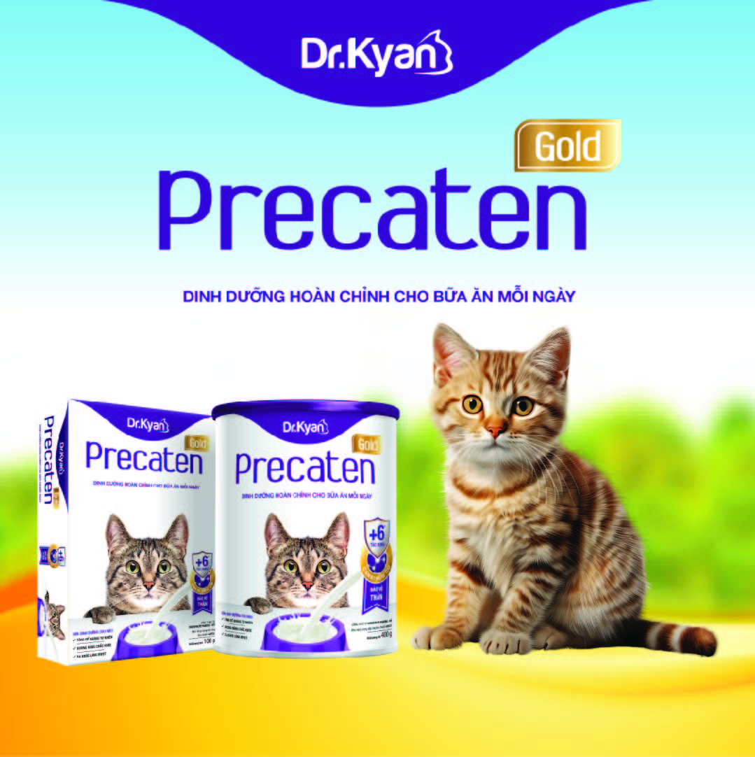Mô tả Dr.Kyan - Sữa bột PRECATEN GOLD cho mèo lon 100g - DrKyan - 1
