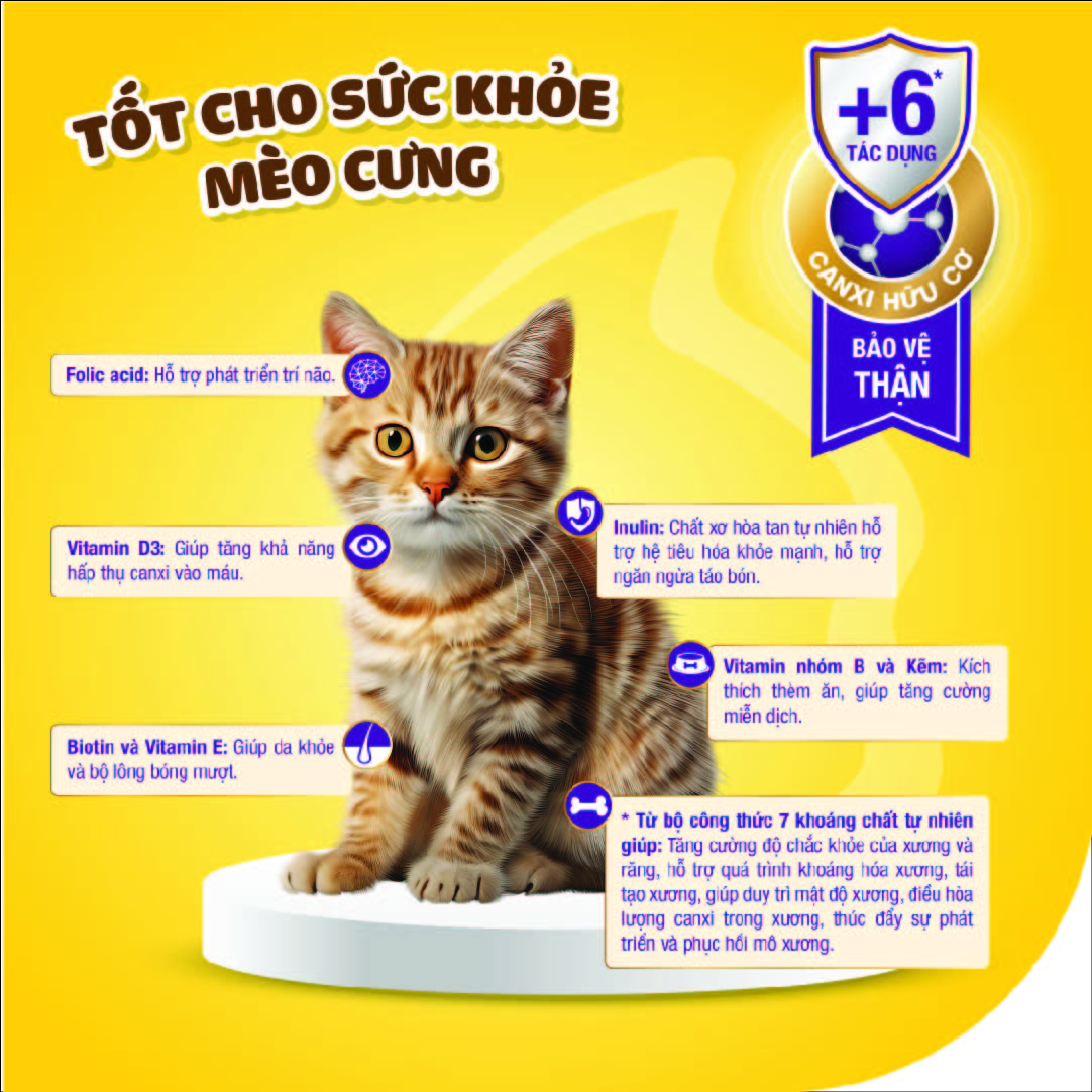 Mô tả Dr.Kyan - Sữa bột PRECATEN GOLD cho mèo lon 100g - DrKyan - 4